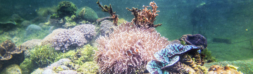 Andaman