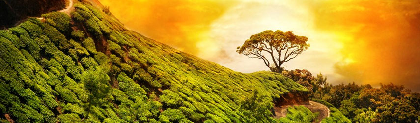 Kerala