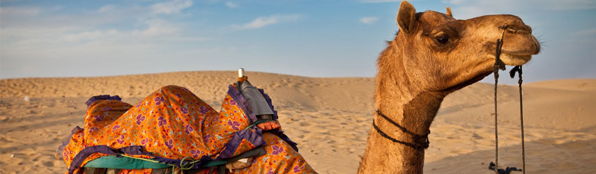 Rajasthan