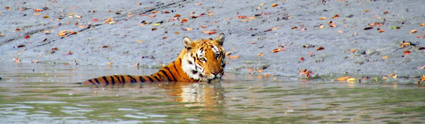 West Bengal