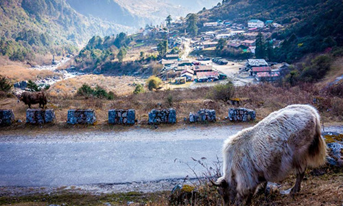 Sikkim